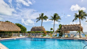 New Tropical Escape Sea Gulls 407